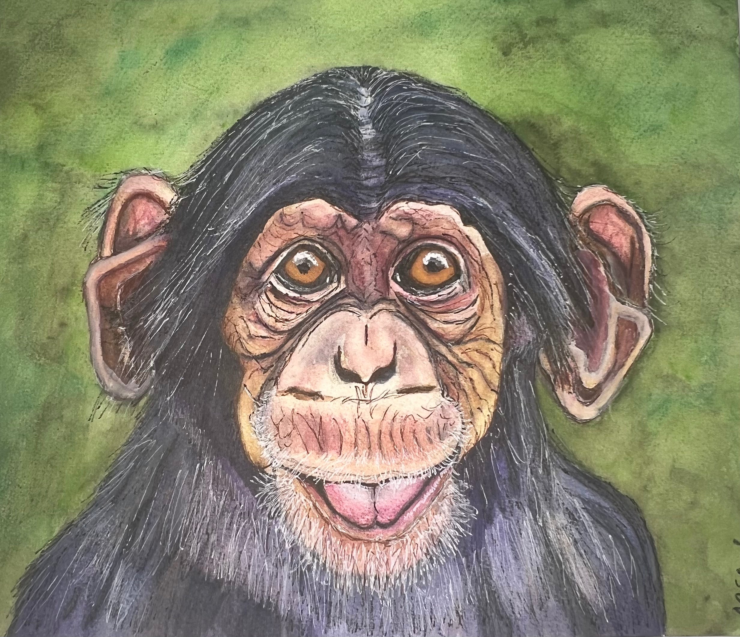 Baby Chimp - Original Artwork - Watercolor