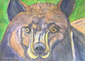 Curious Black Bear - Original Artwork - Watercolor