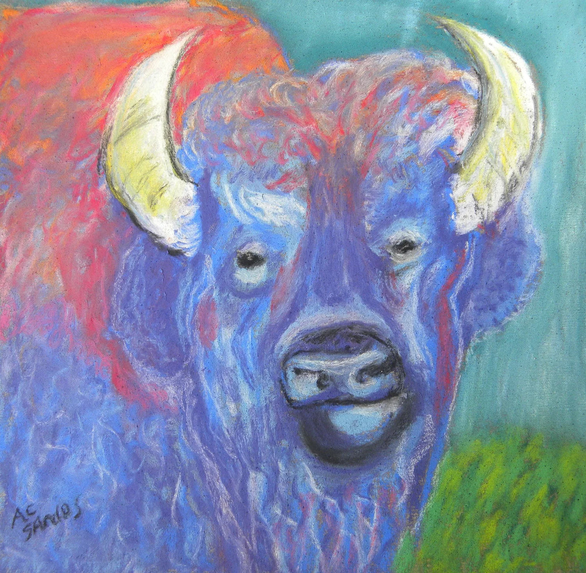 Donna the Buffalo - Original Artwork - Pastel