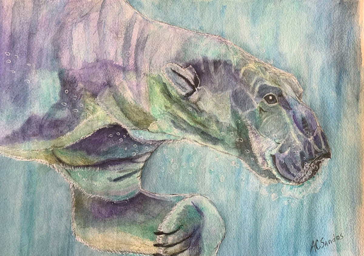 Polar Plunge - Original Artwork - Watercolor