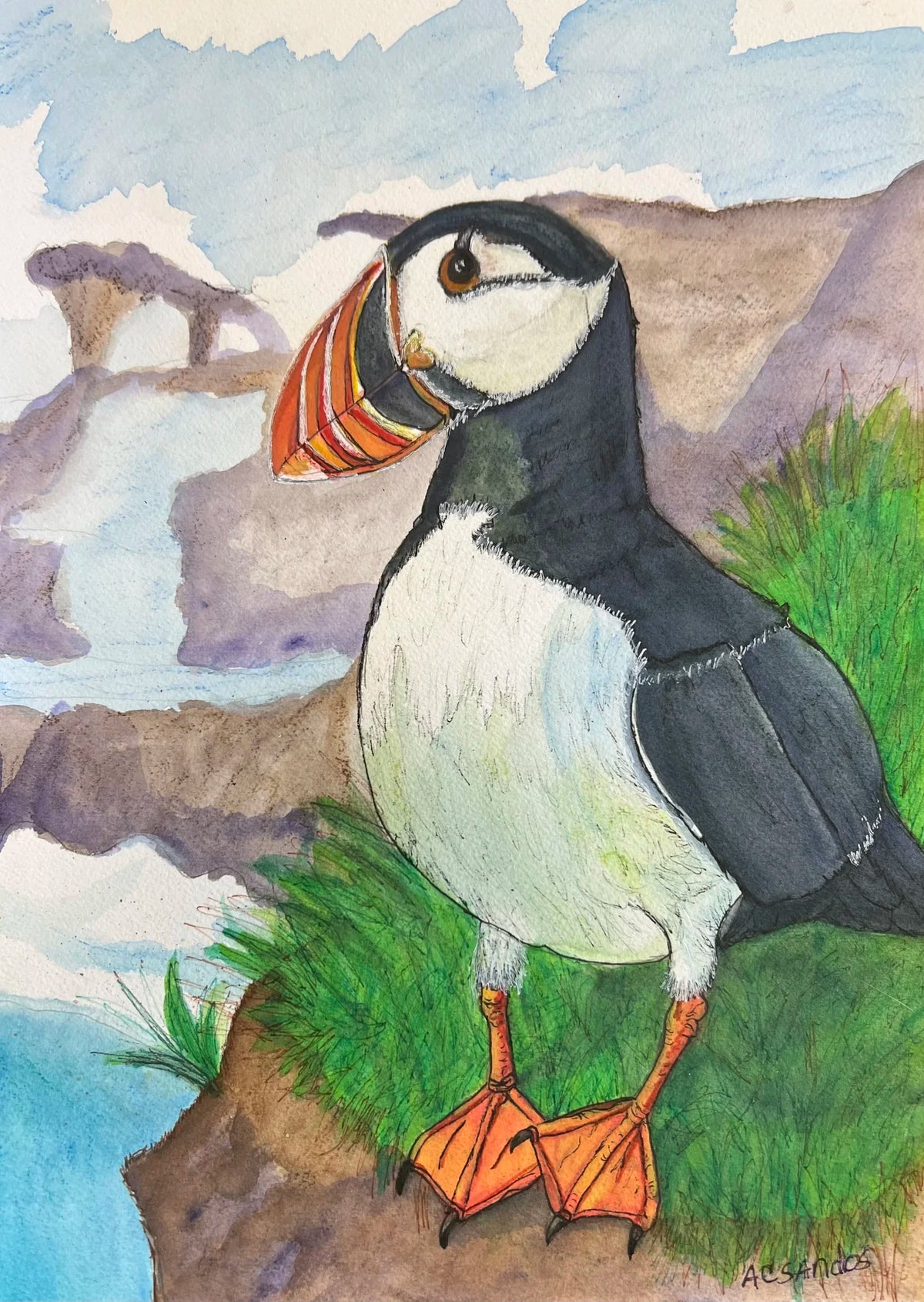 Pondering Puffin - Original Artwork - Watercolor