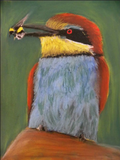 The Bee Eater - Original Artwork - Pastel