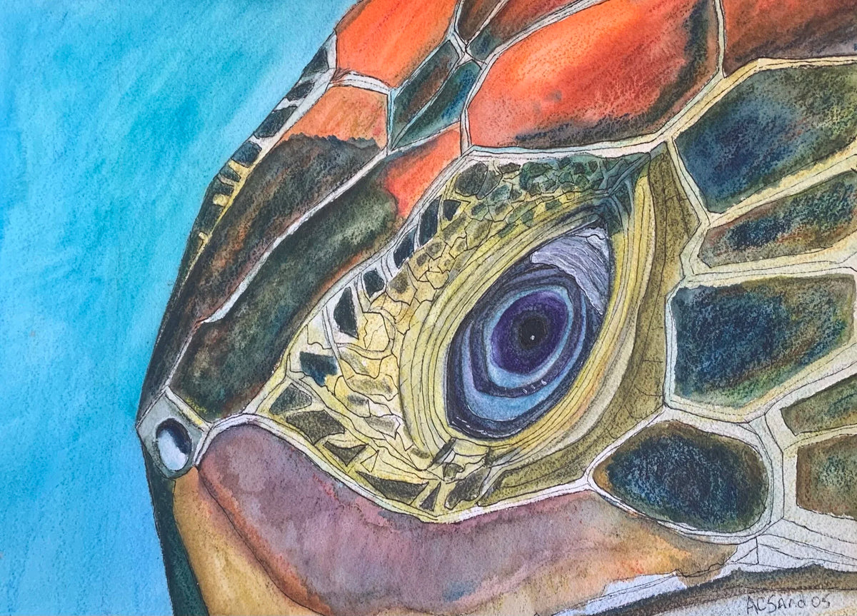 The Eye of the Turtle - Original Artwork - Watercolor