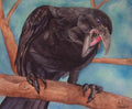 A'lalal - Original Artwork - Watercolor